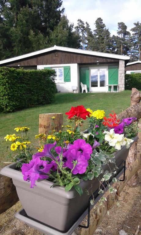 Vvf Haute Loire Haute Ardeche Tence Exterior foto